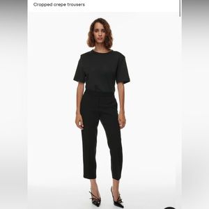 Babaton pants from Aritzia